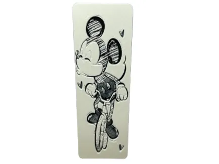bladwijzer mickey fiets
