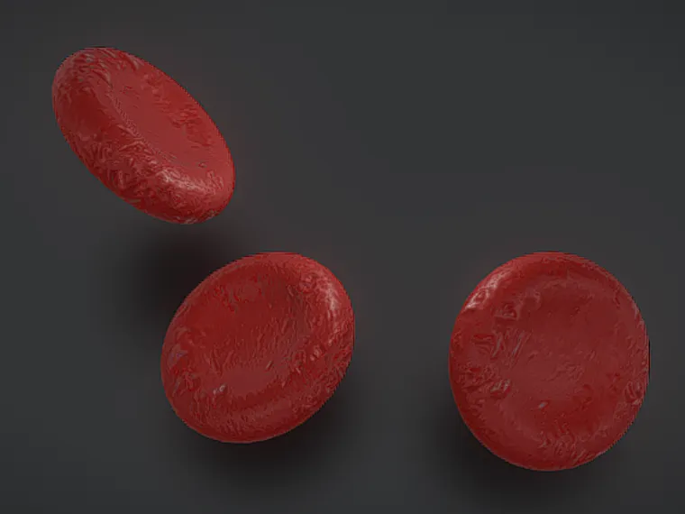 blood cell