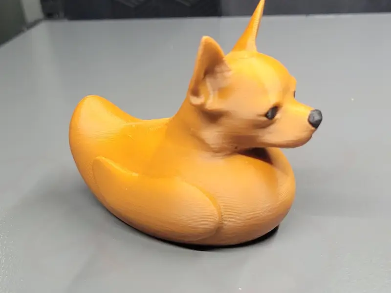 Chihuahua Duck