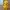 Chibi Chocobo Final Fantasy