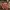 GTA 6 Logo – 3D Solid Engraved Style