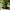Selfwatering planter