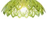 Lampshade-0