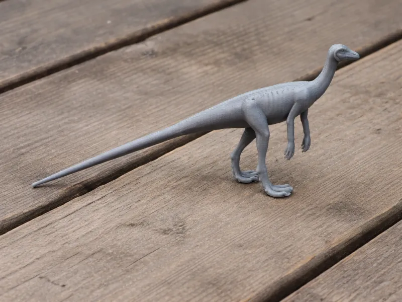 Marasuchus