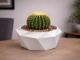 MACETA CACTUS