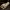 Mugger Crocodile Skull