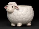 Flirty Sheep Pot-0