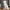 Chien Polygonal – Sculpture de Chien Low Poly Élégante