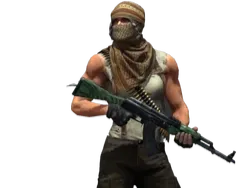 CS2_Trapper