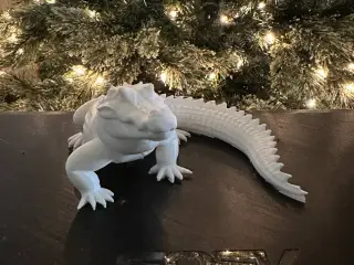 Crocodile