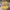 Logotipo do Los Angeles Lakers