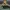 Shikamaru Nara Display Bust with Nameplate - Multicolor 3D P