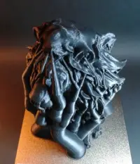 Lion on a Wood (Simba)-6