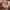 Shih Tzu Puppy Portrait Clicker– Noah0x03