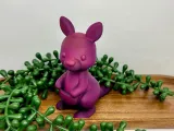 kangaroo-0
