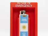 In Case Of Emergency BIC Maxi Lighter-0