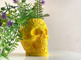 RELIC CALAVERA-0