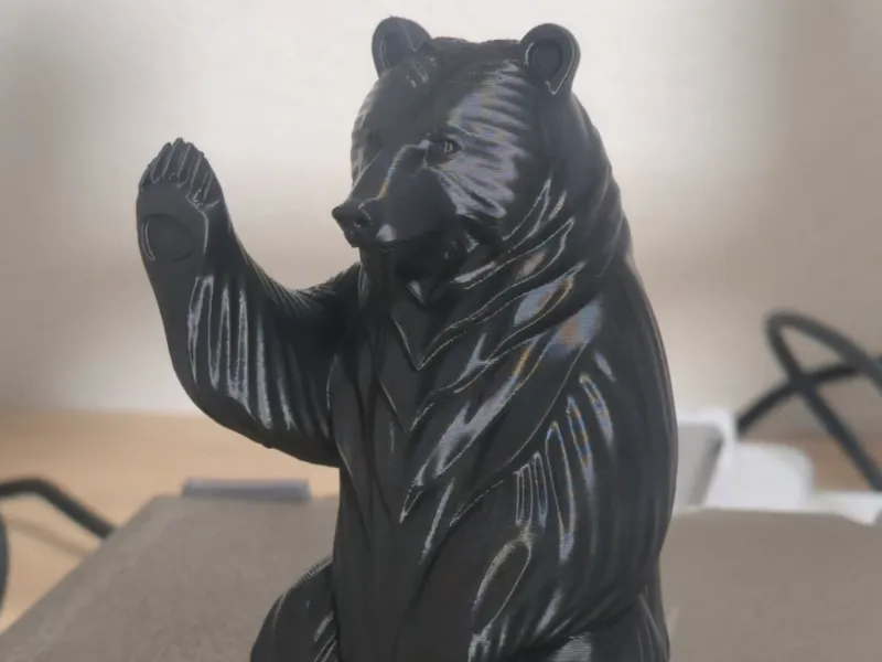 Friendly bear