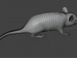 Rat-0