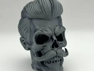 Stylish Skull Bust
