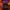 Anime Halloween Bag Strap Pack (4-in-1) Volume 3