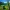 Minecraft Grasblok Twisty Fidget