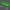 Gridfinity PrintEase