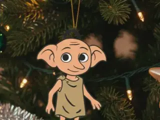 Dobby (Harry Potter)
