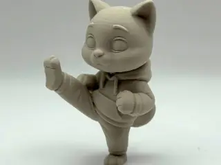 Karate Kitten
