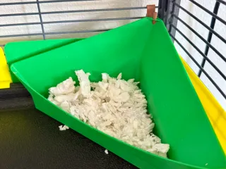 LitterBox