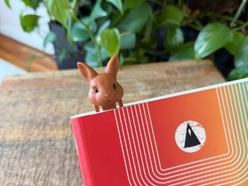 Wild Rabbit bookmark
