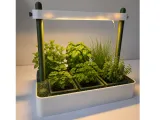 Verbena Hydroponics Herb Pot - MOKA Design-0