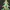 4 Number - Christmas Tree with Baubles, Tinsels and Star