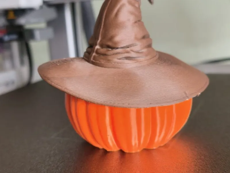 Kürbis mit Hexenhut