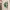 Decoracion de pared - Yoshi (CFS/NO CFS)