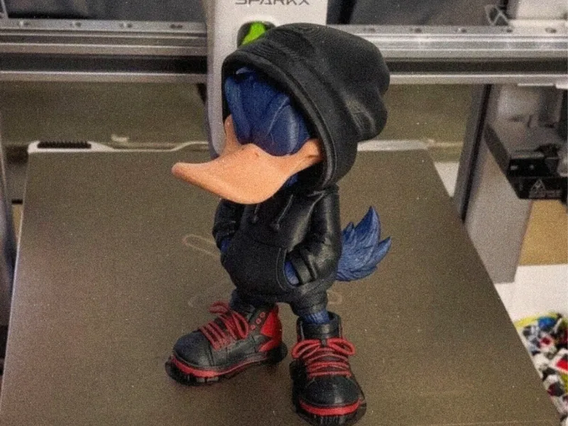 CANARD URBAIN - STYLE DE RUE