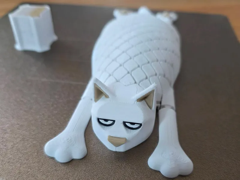 Flexi Cat