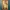 Bob's Burgers "Oh. My. God." Magneet