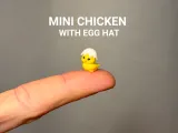 Mini Chicken with Egg Hat-0