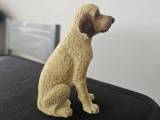 Labradoodle-0