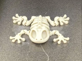 Articulated Skeleton Frog