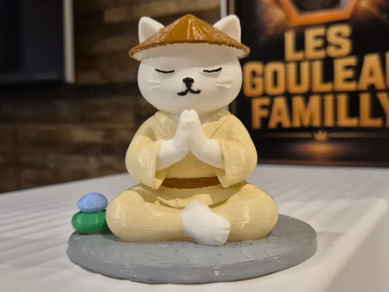 禅ヨガ蓮華猫