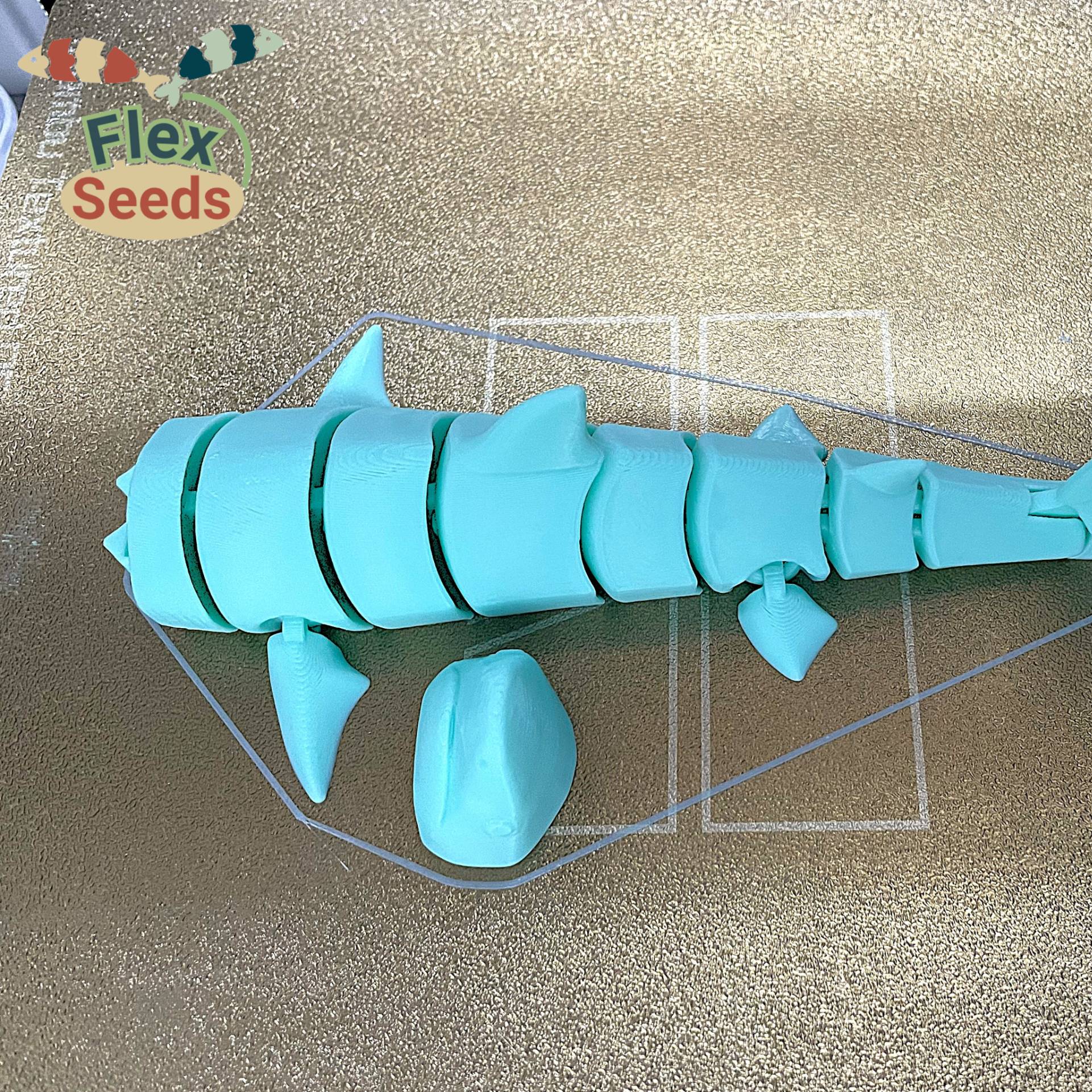 Home print settings: Tiger-Shark-Set_1Color_Creality v1.3mf