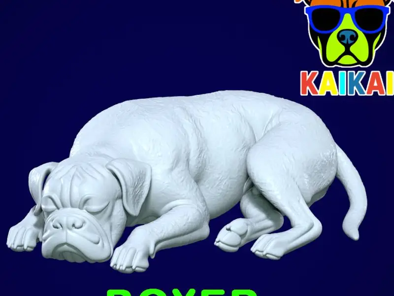 Boxer (dog breed) is sleeping- German Boxer model - 3D print