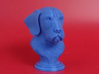 German Wirehaired Pointer Bust