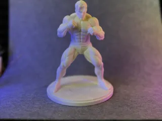Ultimate Anime Fighter – Dynamic Martial Arts Statue