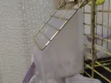 Budgie Feeder-0