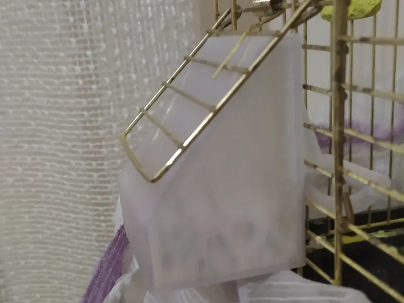 Budgie Feeder