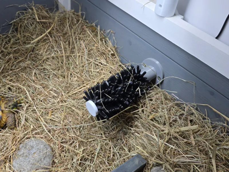Tortoise Shell Brush/scratcher