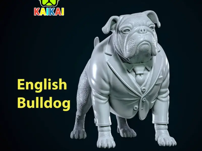 English bulldog fashion - Bulldog urban vibes decor